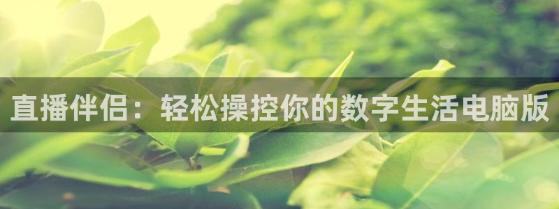 乐球体育直播