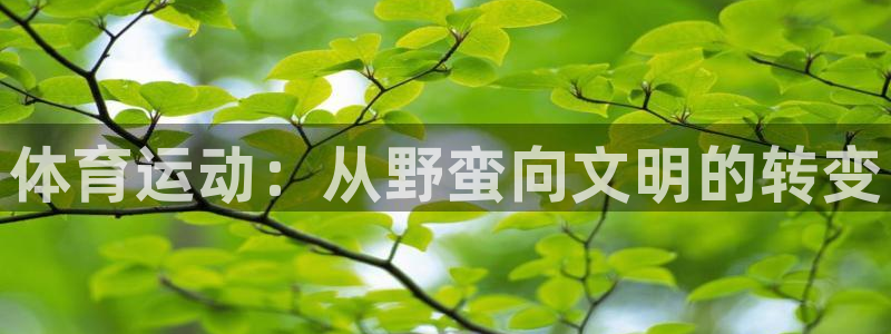 JJB竞技宝官网下载是干嘛的公司：体育运动：从野蛮向文明的转