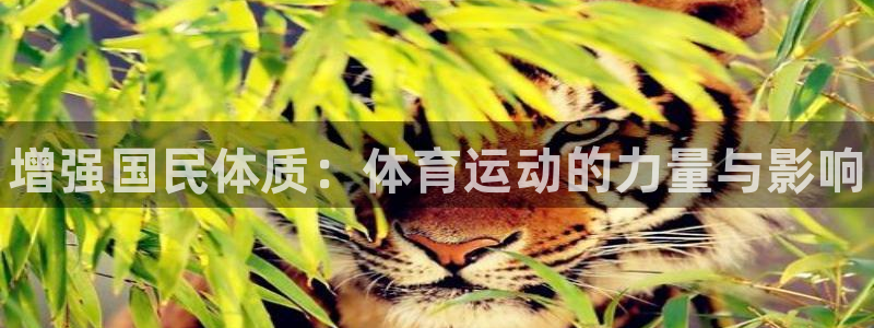 JJB竞技宝官网下载平台注册流程图：增强国民体质：体