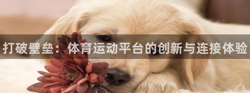 JJB竞技宝官方正版app集团：打破壁垒：体育运动平