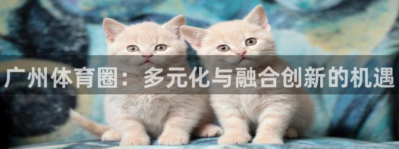 JJB竞技宝官网下载是干嘛的公司：广州体育圈：多元化