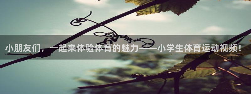 JJB竞技宝官网下载平台注册流程视频：小朋友们，一起来体验体