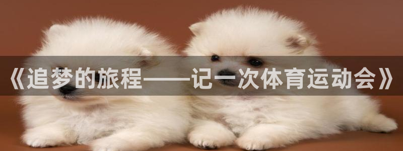 JJB竞技宝官方平台体育：《追梦的旅程——记一次体育