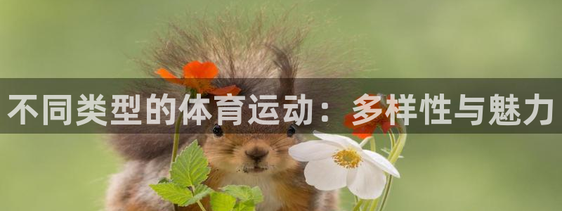 JJB竞技宝官网下载招商电话地址查询：不同类型的体育