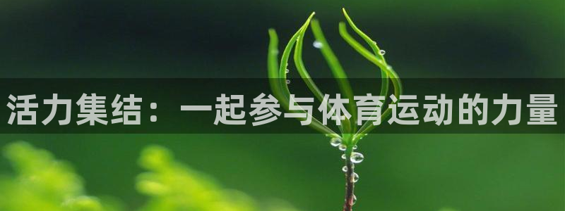 JJB竞技宝官网下载招商电话：活力集结：一起参与体育