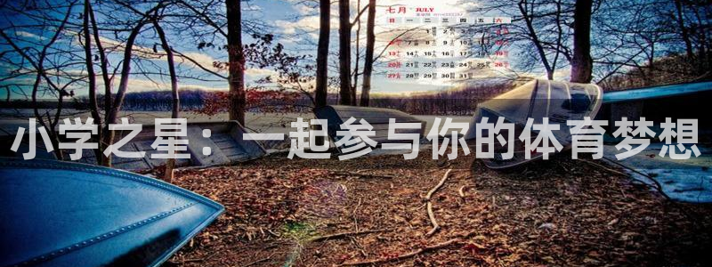 JJB竞技宝官方正版app娱乐代理怎么样：小学之星：