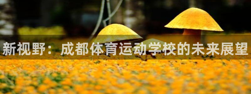 JJB竞技宝官网下载平台