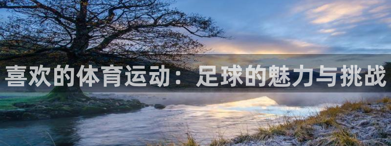 JJB竞技宝官方正版app娱乐网站：喜欢的体育运动：