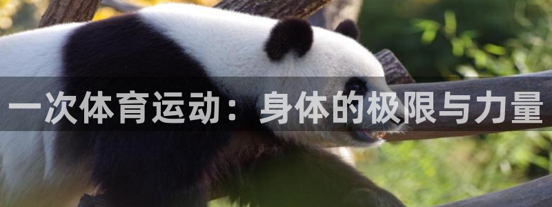 德国JJB竞技宝官方正版app集团：一次体育运动：身