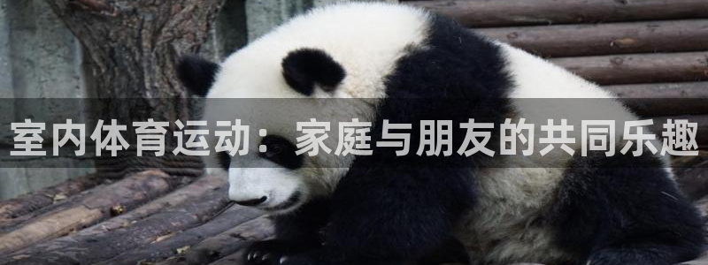 JJB竞技宝官网下载招商电话是多少号码：室内体育运动