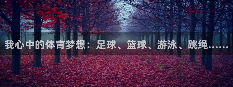 JJB竞技宝官网下载招商电话是多少：我心中的体育梦想