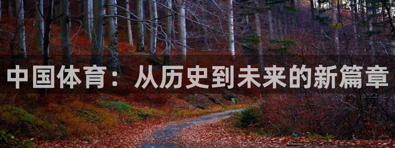 JJB竞技宝官网下载：中国体育：从历史到未来的新篇章