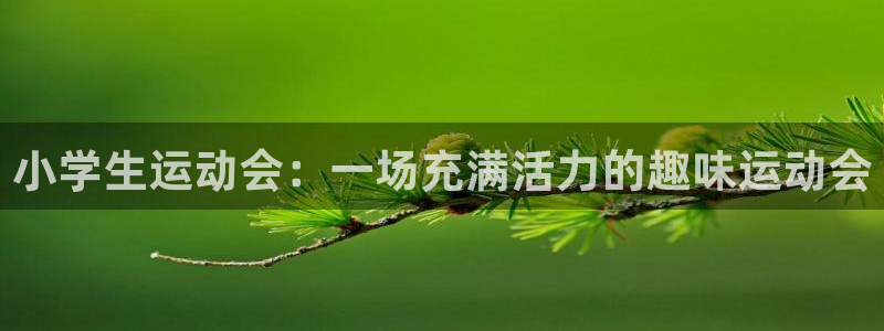 JJB竞技宝官方正版app娱乐40996：小学生运动会：一场